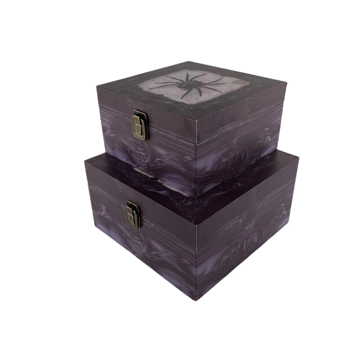 G119- Spider wooden box