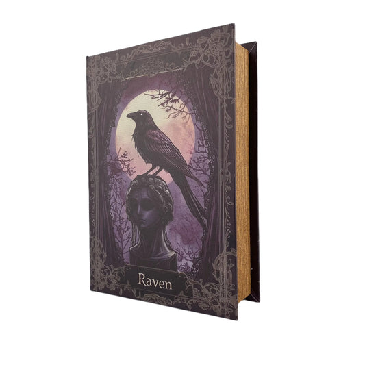 G138- The raven book box