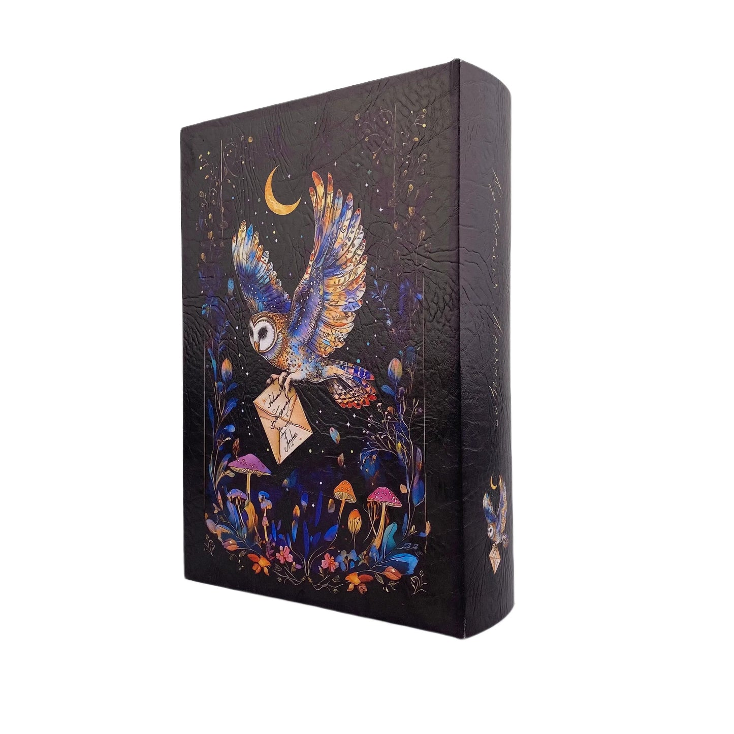 G165- Mysterious messenger book box