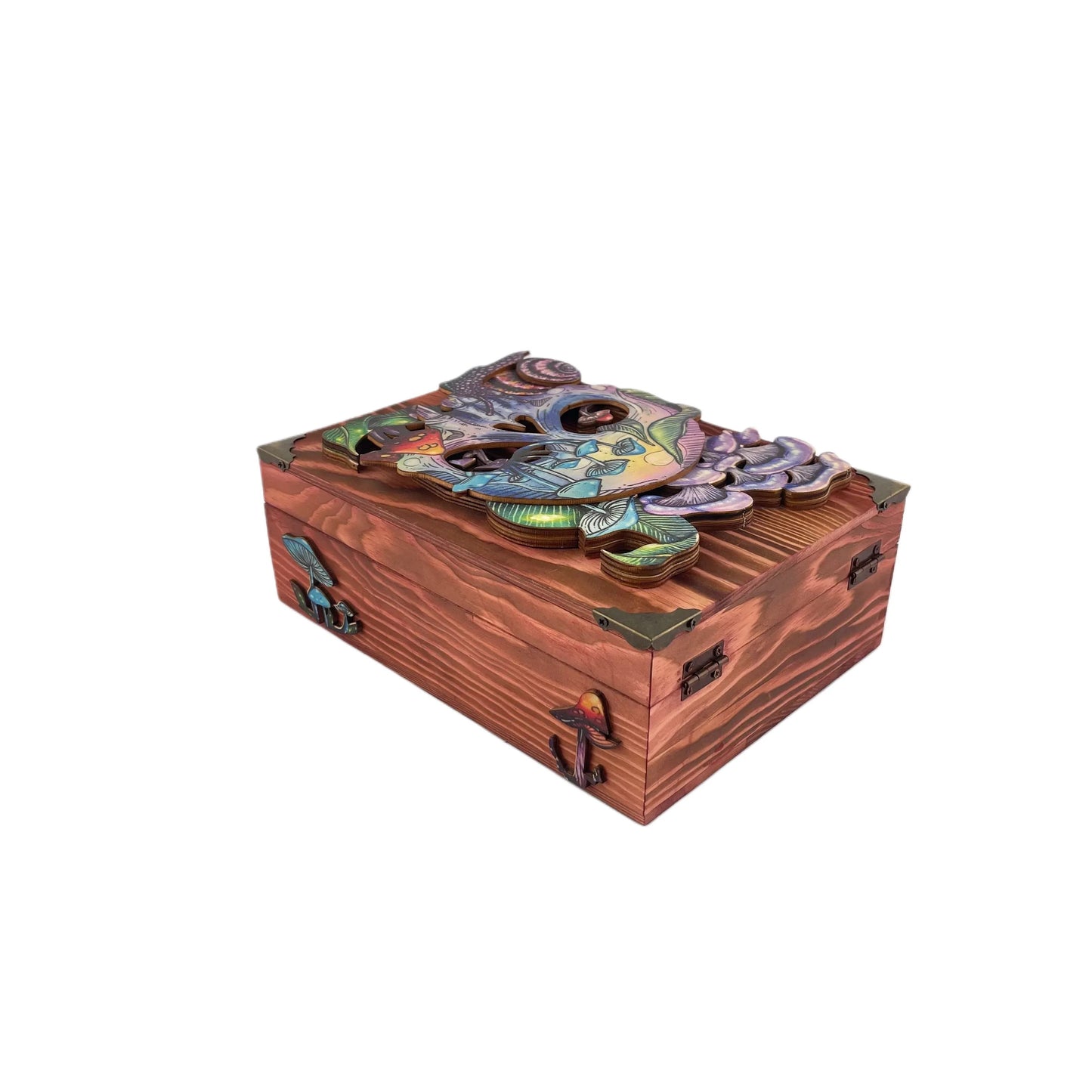 W1258- 3D Skeleton Box