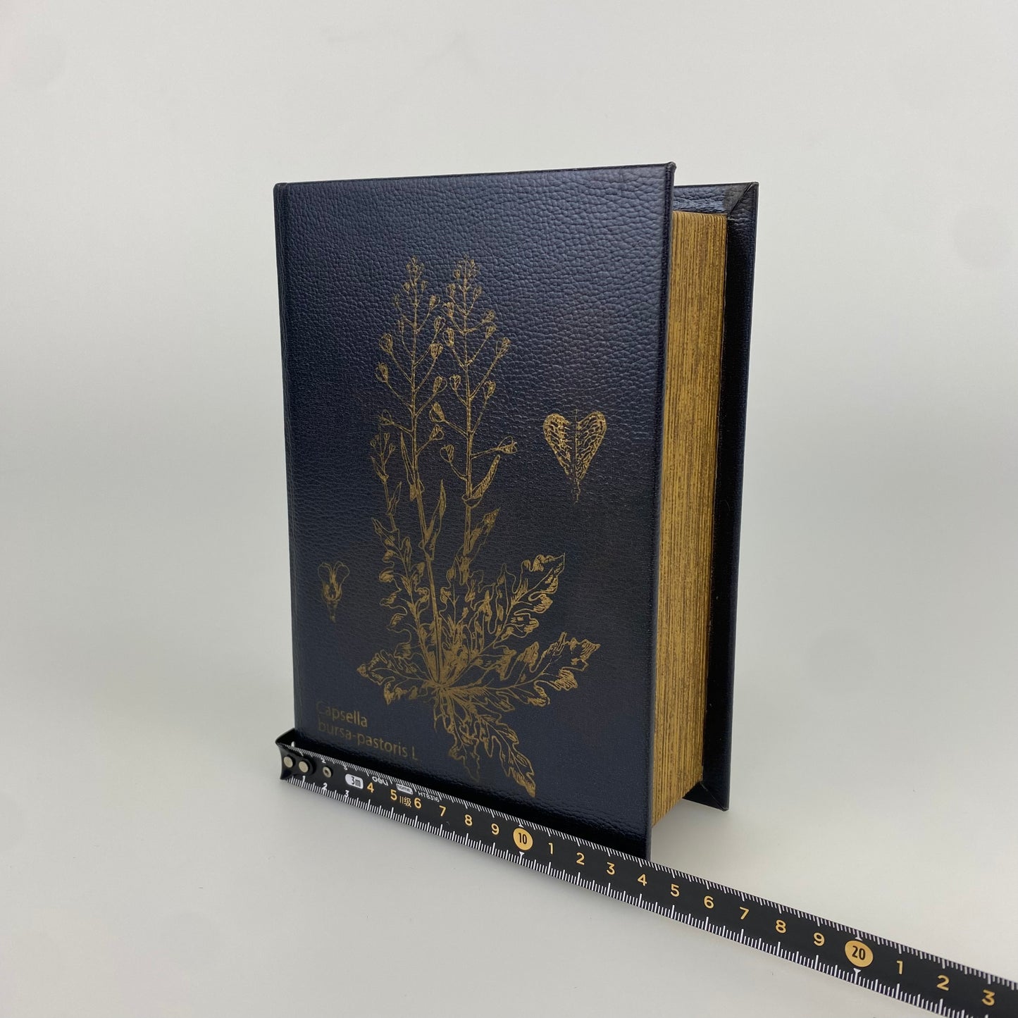 B56-Book Box