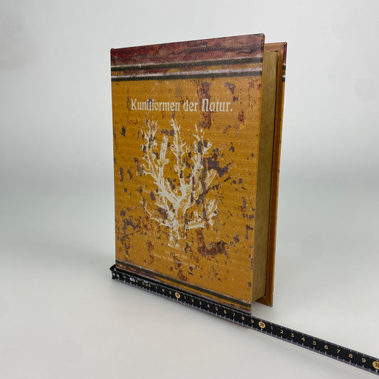 B109-Book Box